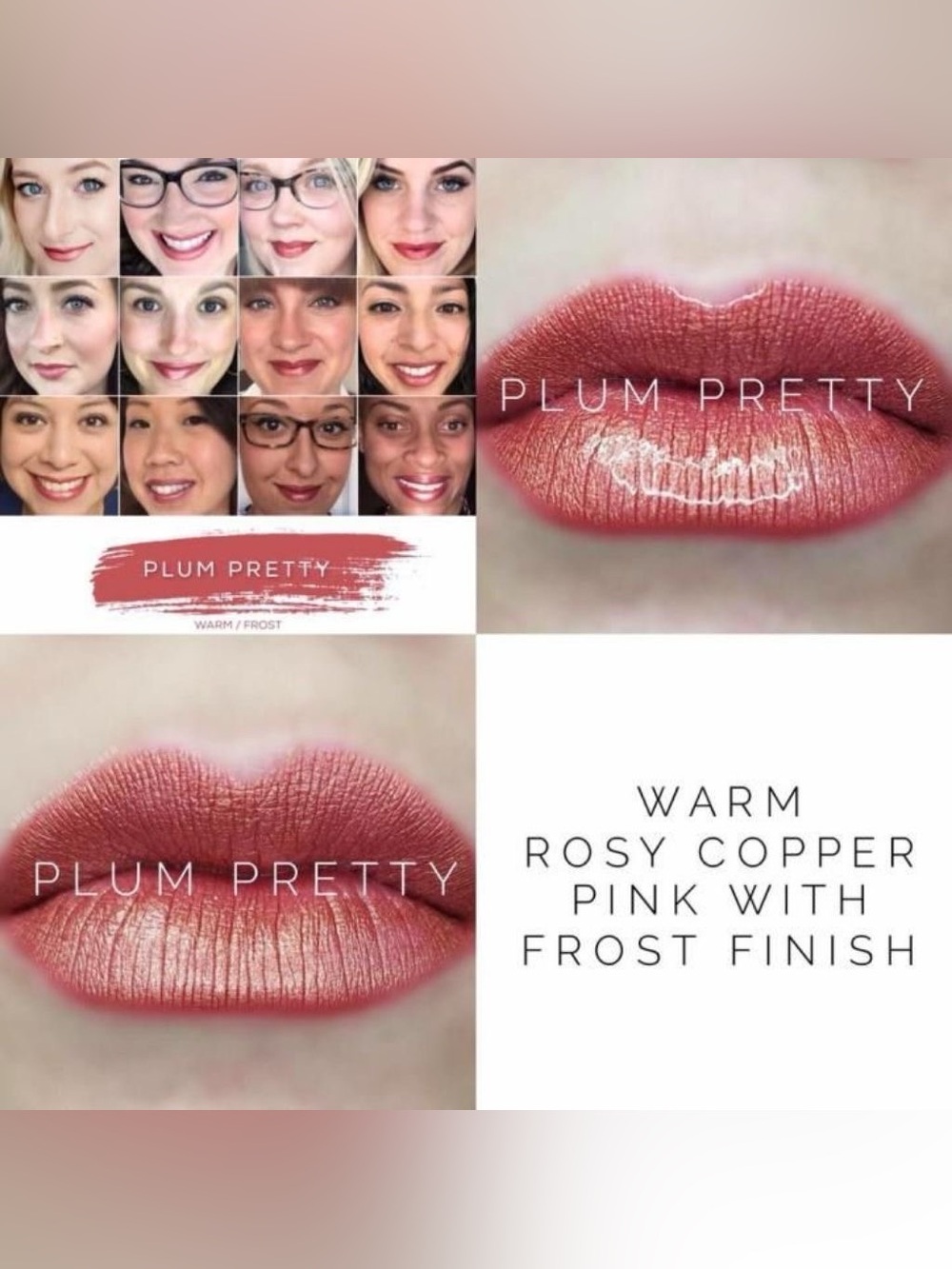 LipSense Plum Pretty Warm Rosy Copper Pink Frost